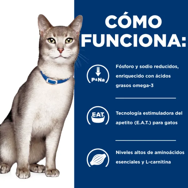 Sale Hill's Hills Lata Feline K/D Cuidado Ri On Alimento H Medo Para Gatos