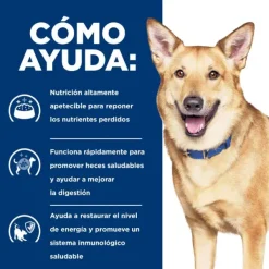 Hill's Prescription Diet Cuidado Digestivo Alimento H Medo Para Perros Peque Os 156 Gr