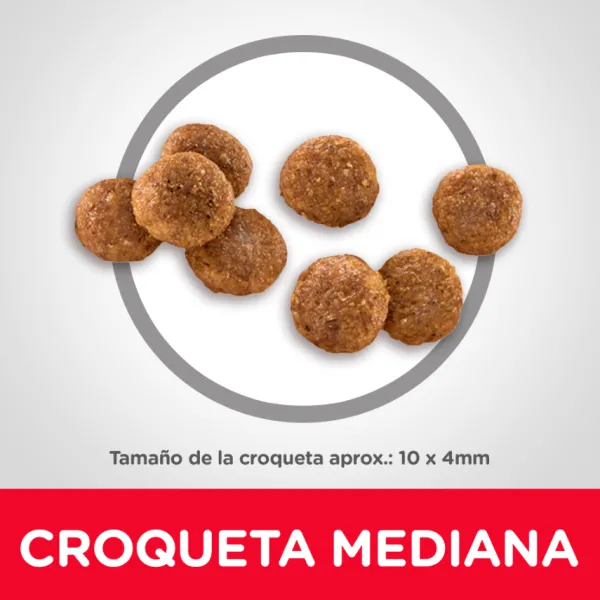 Hill's Hills Puppy Healthy Development Alimento Para Perro