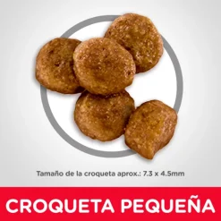 Best Hill's Hills Puppy Small Bites Receta De Harina De Pollo Y Cebada Alimento Para Perro