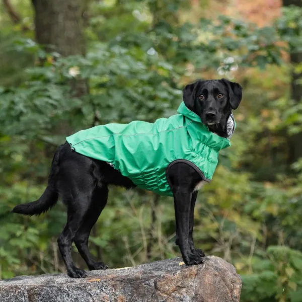Clearance GF PET Impermeable Reversible Verde