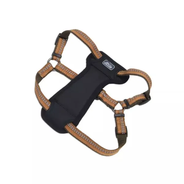 New Coastal K9 Explorer Arn S Acolchado Naranja