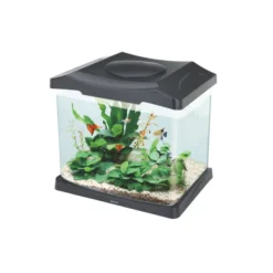 Clearance Boyu Kit: Acuario Curvo. Sistema De Filtraci N E Iluminaci N 22 Lt