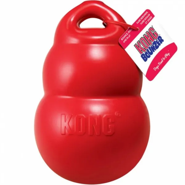Online Kong Bounzer