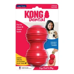 Clearance Kong Dental Large