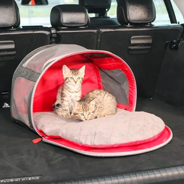 Best Kong 2-In-1 Pet Carrier & Travel Mat