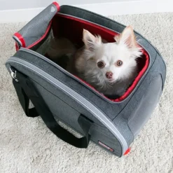 Best Kong 2-In-1 Pet Carrier & Travel Mat