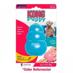 Best Kong Puppy