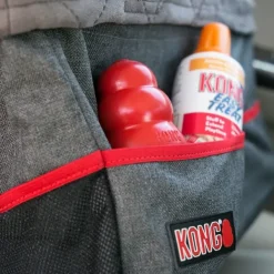 Hot Kong Secure Booster Seat