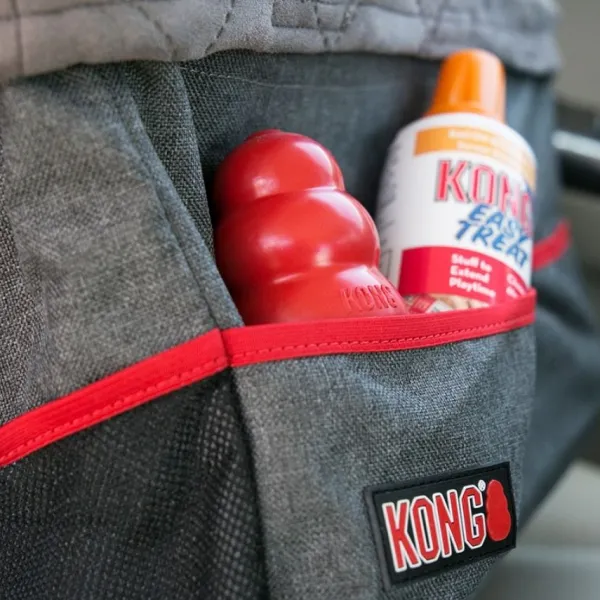 Hot Kong Secure Booster Seat