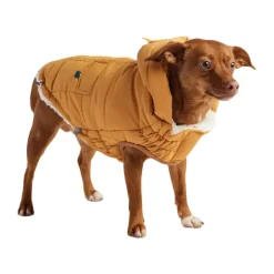 Best GF PET Parka Super Puff Amarillo