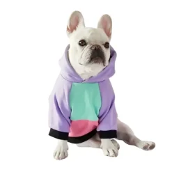 Discount Mister & Misses Pet Poleron Para Mascota Spring
