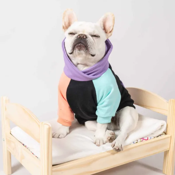 Best Mister & Misses Pet Poleron Para Mascota Tricolor