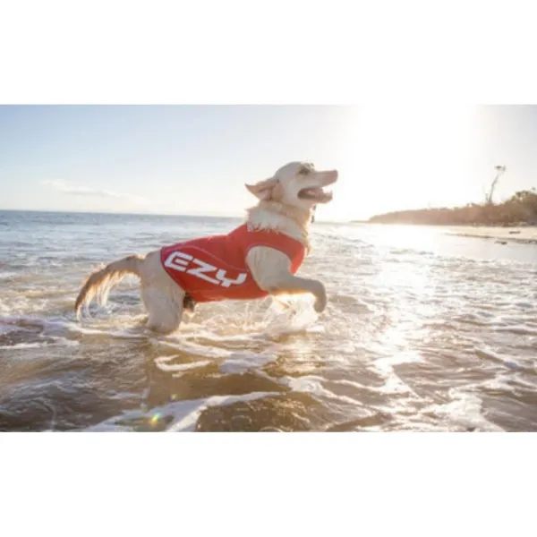 Sale Ezydog Rashies -