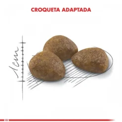 Clearance Royal Canin Adulto Active 7+ Alimento Para Gato