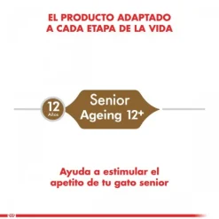 Sale Royal Canin Adulto Ageing 12+ 2Kg Alimento Para Gato