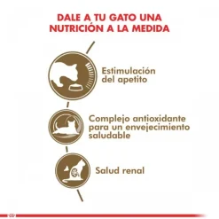 Sale Royal Canin Adulto Ageing 12+ 2Kg Alimento Para Gato