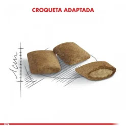 Sale Royal Canin Adulto Ageing 12+ 2Kg Alimento Para Gato