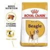 Clearance Royal Canin Adulto Beagle Adulto 3Kg Alimento Para Perro