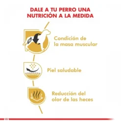 Sale Royal Canin Adulto Bulldog Frances Alimento Para Perro