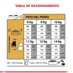 Sale Royal Canin Adulto Bulldog Frances Alimento Para Perro