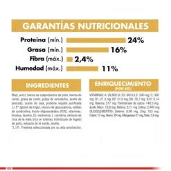 Sale Royal Canin Adulto Bulldog Frances Alimento Para Perro