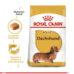 Online Royal Canin Adulto Dachshund Alimento Para Perro