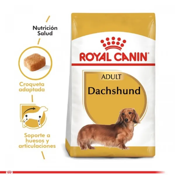 Online Royal Canin Adulto Dachshund Alimento Para Perro