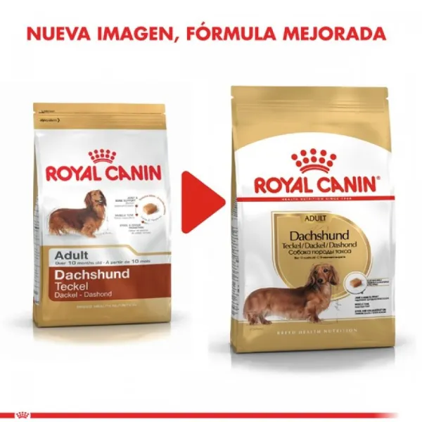 Online Royal Canin Adulto Dachshund Alimento Para Perro