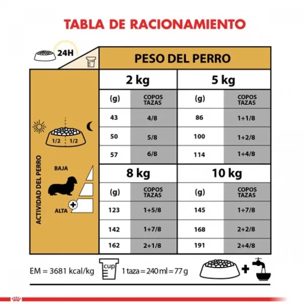 Online Royal Canin Adulto Dachshund Alimento Para Perro