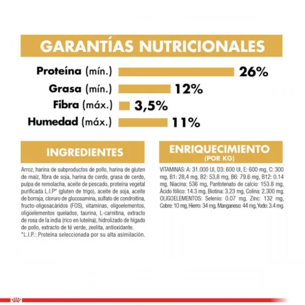 Online Royal Canin Adulto Dachshund Alimento Para Perro