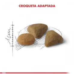 Discount Royal Canin Adulto Exigent Alimento Para Gato