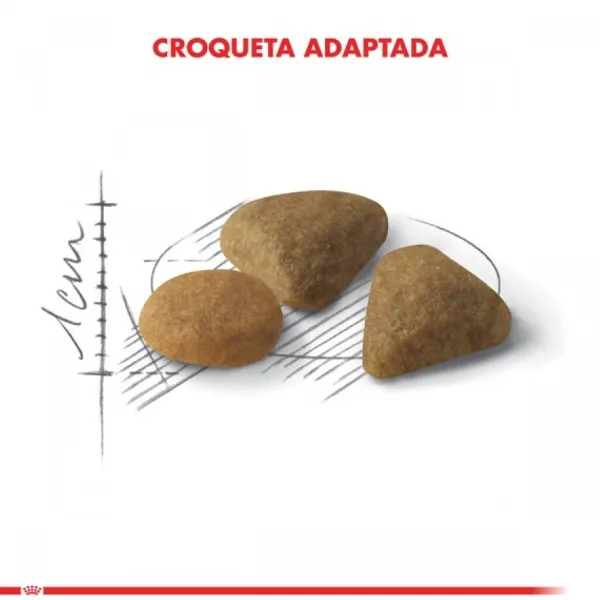 Discount Royal Canin Adulto Exigent Alimento Para Gato