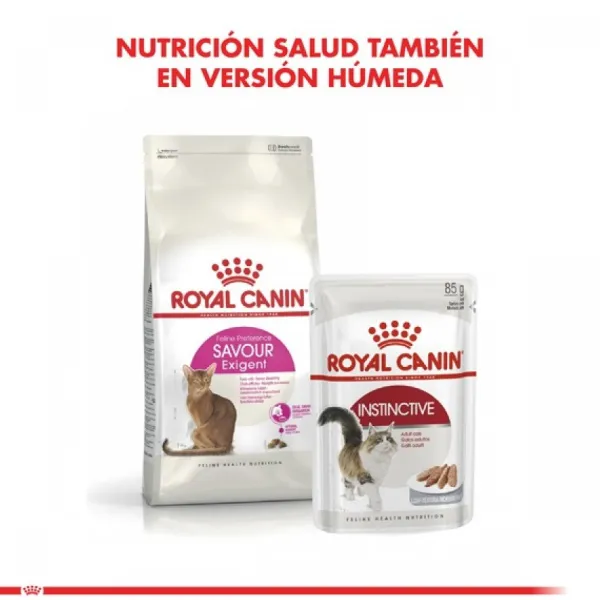 Discount Royal Canin Adulto Exigent Alimento Para Gato