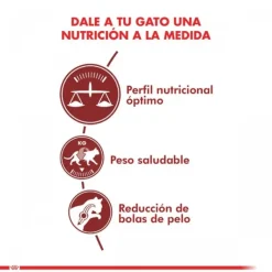 Hot Royal Canin Adulto Fit Alimento Para Gato
