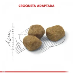 Hot Royal Canin Adulto Fit Alimento Para Gato