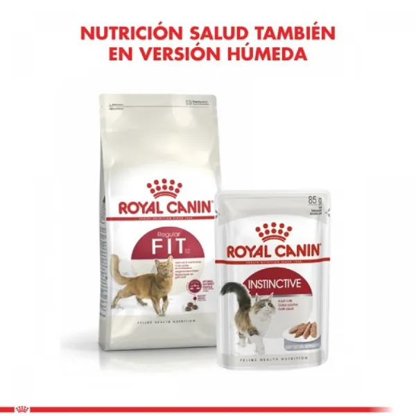Hot Royal Canin Adulto Fit Alimento Para Gato