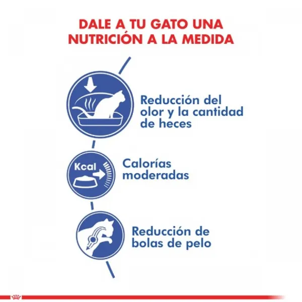 Royal Canin Adulto Indoor Alimento Para Gato