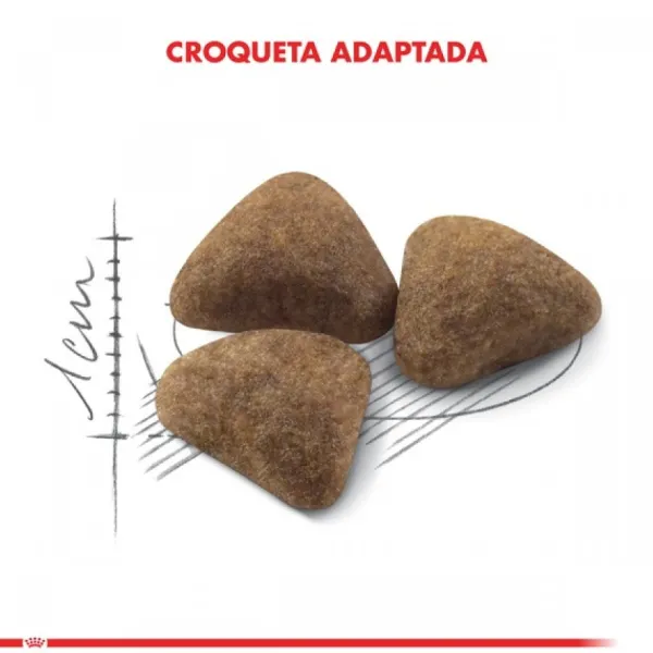 Clearance Royal Canin Adulto Indoor Alimento Para Gato
