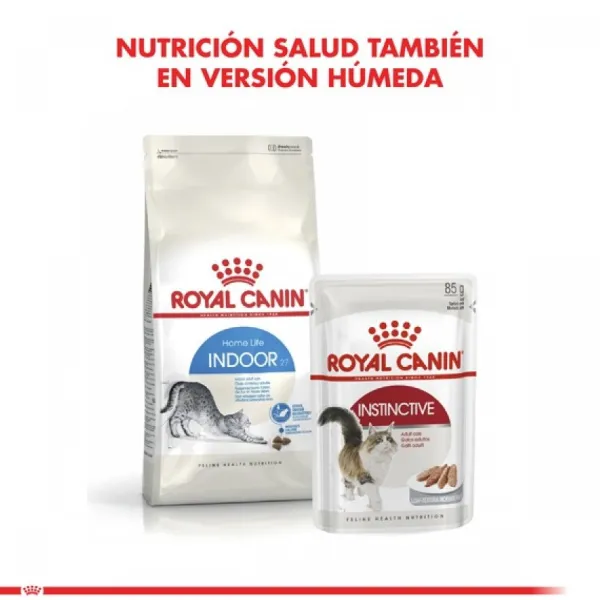 Clearance Royal Canin Adulto Indoor Alimento Para Gato