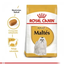 Best Royal Canin Adulto Maltes Adult Alimento Para Perro