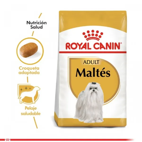 Best Royal Canin Adulto Maltes Adult Alimento Para Perro