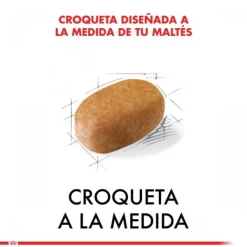 Best Royal Canin Adulto Maltes Adult Alimento Para Perro