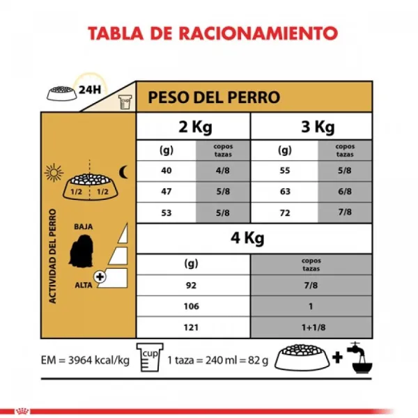 Best Royal Canin Adulto Maltes Adult Alimento Para Perro