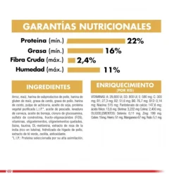 Best Royal Canin Adulto Maltes Adult Alimento Para Perro