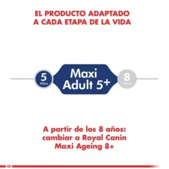 Outlet Royal Canin Adulto Maxi Adulto 5+ Alimento Para Perro