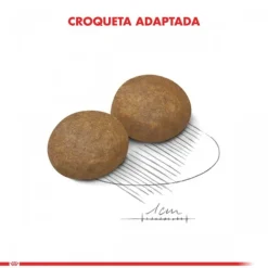 Outlet Royal Canin Adulto Maxi Adulto 5+ Alimento Para Perro