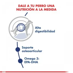 Outlet Royal Canin Adulto Maxi Adult 15 Kg Alimento Para Perro