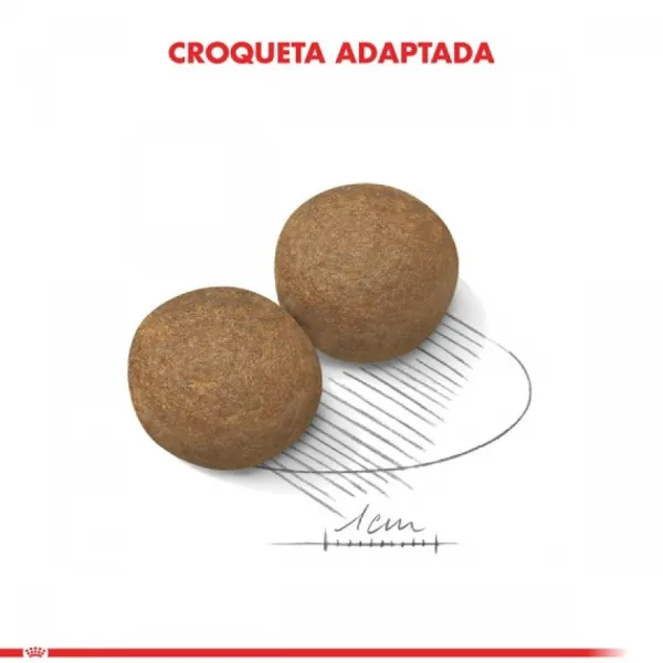 Outlet Royal Canin Adulto Maxi Adult 15 Kg Alimento Para Perro