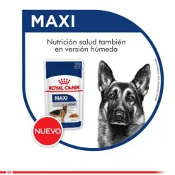 Outlet Royal Canin Adulto Maxi Adult 15 Kg Alimento Para Perro